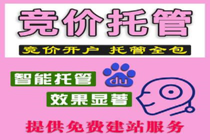 探索sem代运营公司的服务流程与效果